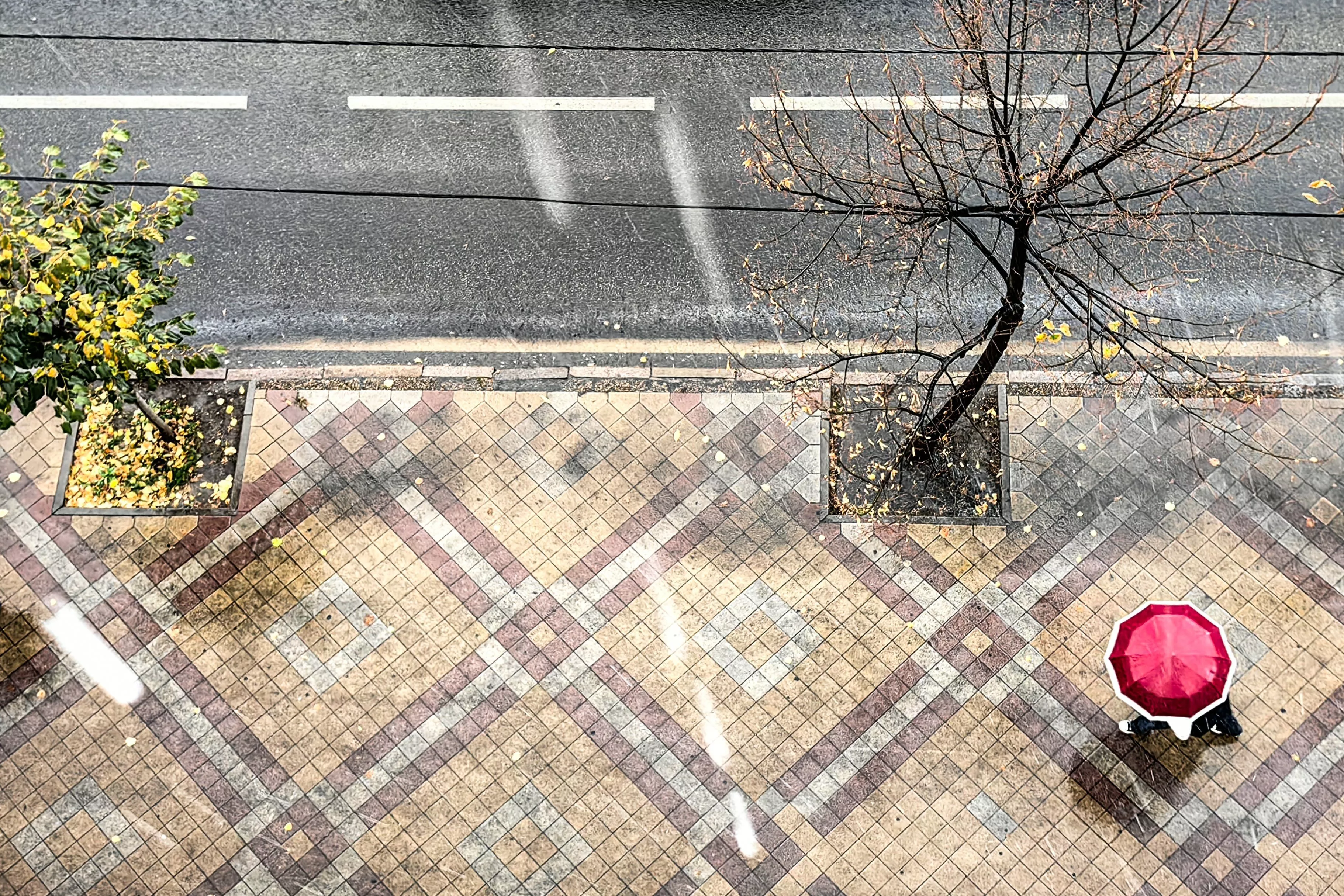 Сильные дожди и грозы надвигаются на Краснодарский край