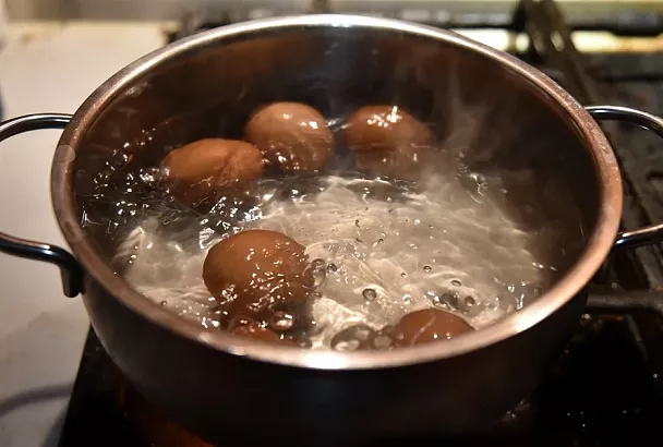 Чем в таз, лучше в грядку: полив томатов и перцев водой после варки яиц, в чем смысл?
