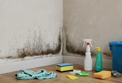 Дом, который вас травит: токсиколог рассказал, как плесень разрушает иммунитет