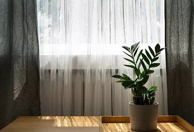 Аллерголог подсказала, как правильно встречать весну: всего один секрет поможет снизить проявления поллиноза в 2-3 раза