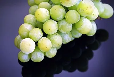 Ягода для памяти: полезные свойства винограда