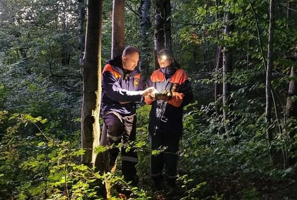 Сочинская пенсионерка во время сбора грибов заблудилась в лесу и провела там всю ночь