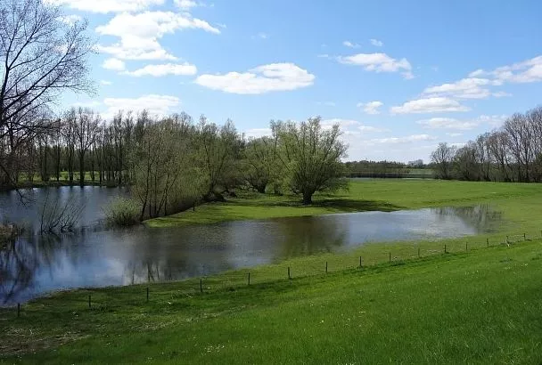 Народные приметы на сегодня – 25 апреля, что можно и нельзя делать в день Василия Парильщика