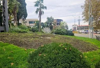 В Сочи началось обновление цветочных часов у Морского вокзала