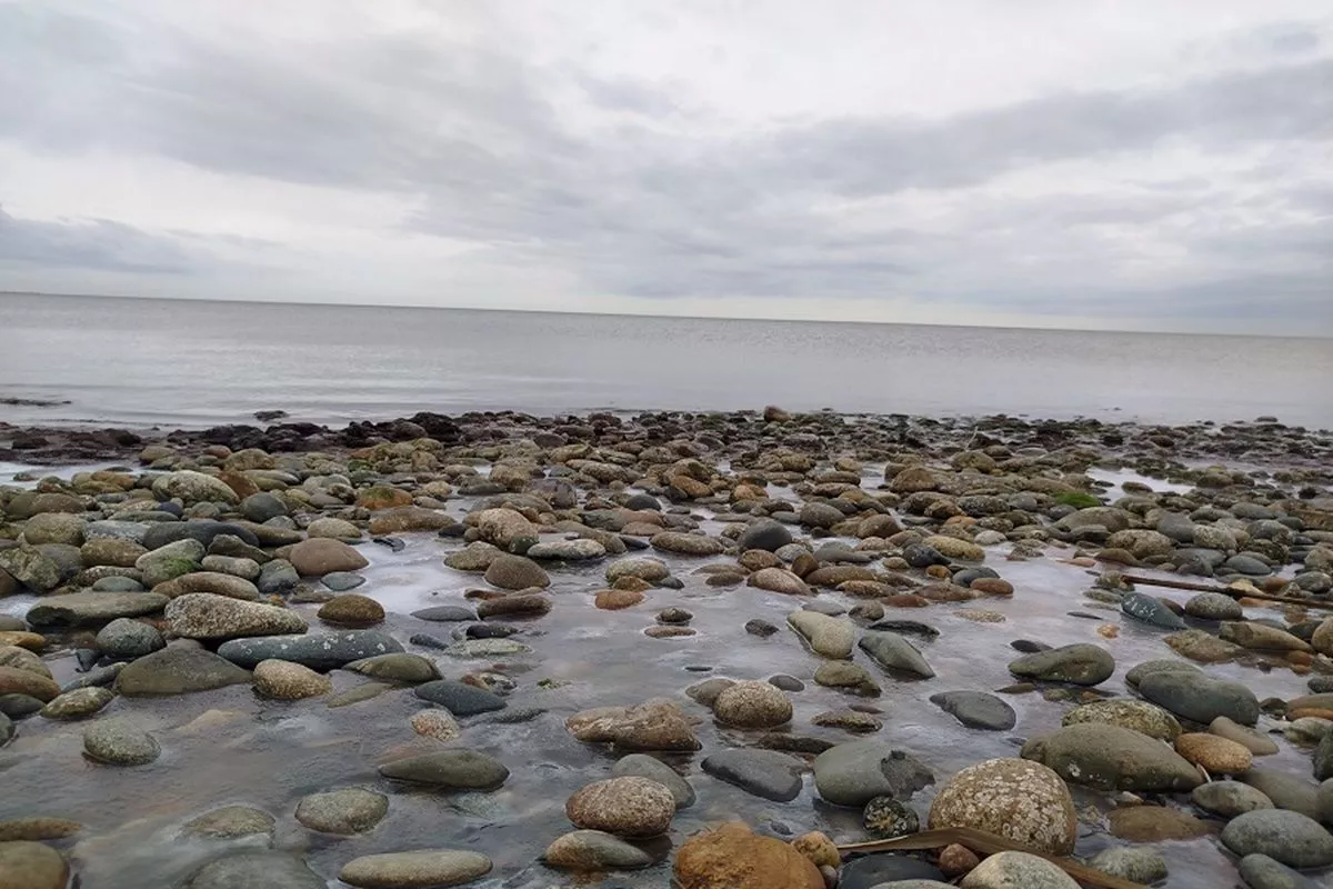 Вода стала ледяной: Азовское море в Краснодарском крае остыло до +2 градусов