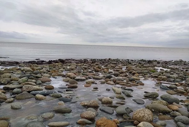 Вода стала ледяной: Азовское море в Краснодарском крае остыло до +2 градусов