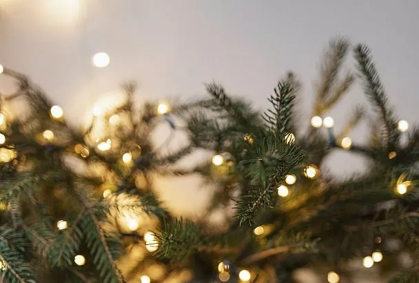 МЧС предупредило об опасности установки елки у выхода из комнаты