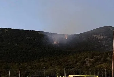 Лес загорелся в заповеднике Малый Утриш под Анапой
