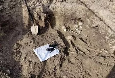 Останки девяти красноармейцев нашли в пригороде Новороссийска