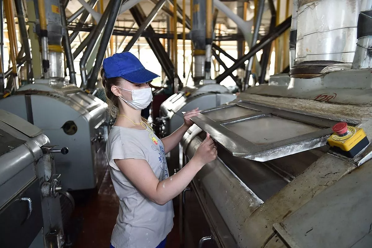 Краснодарский элеватор