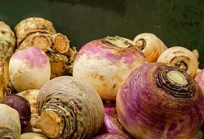 Дачники, репа на грядках растет сладкая и сочная без горечи: вот 1 ключевой фактор роста