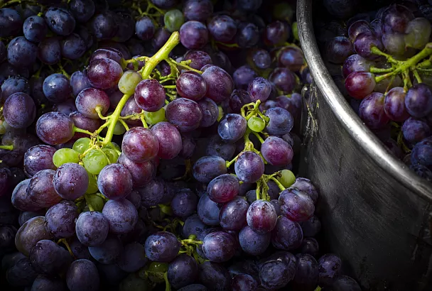 Как приготовить виноградный сок без соковарки: простой способ с кастрюлей