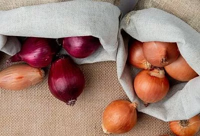 Сколько можно сажать лук-севок на одном месте: схема севооборота, которая удвоит ваш урожай