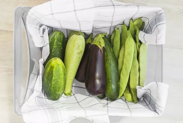 Огурцы с кабачками в пакете: 12 часов в холодильнике - и хрустящий салат в легком маринаде сметается со стола