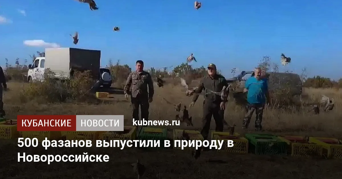 500 фазанов выпустили в природу в Новороссийске
