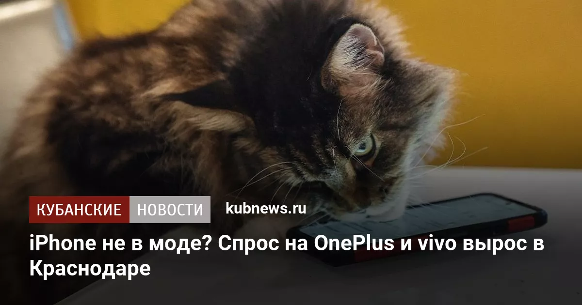iPhone не в моде? Спрос на OnePlus и vivo вырос в Краснодаре