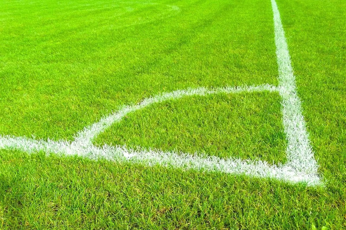 Полиция ищет болельщиков ФК «Кубань», справивших нужду на поле ФК «Краснодар»