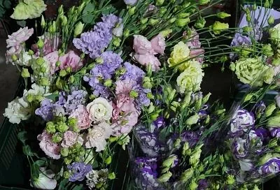 Весна рядом: в середине ноября наступает отличный момент для посева эустомы