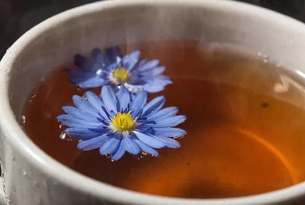 От головы пью отвар с цветками василька: быстро, натурально, по-бабушкиному рецепту