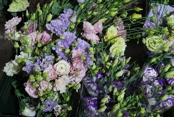 Весна рядом: в середине ноября наступает отличный момент для посева эустомы