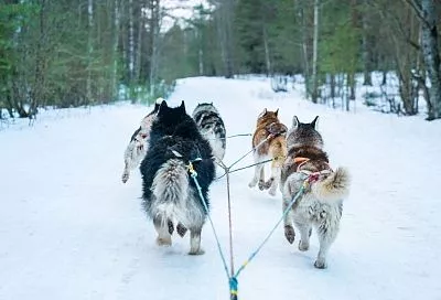 Туристам удалось  получить полную компенсацию после неудавшегося отдыха