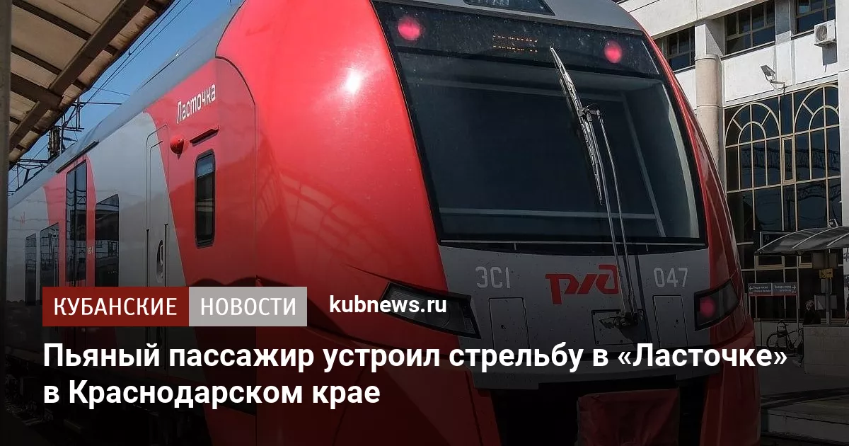 Пьяный пассажир устроил стрельбу в «Ласточке» в Краснодарском крае