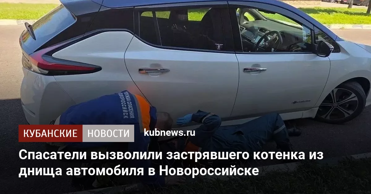 Спасатели вызволили застрявшего котенка из днища автомобиля в Новороссийске