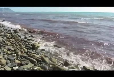 Черное море у берегов Анапы окрасилось в красный цвет