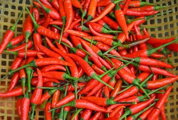 Такой перчик в магазине не купите: маринуем острый перец чили дома