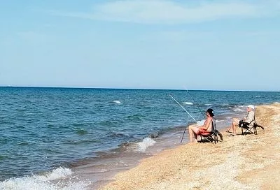 Менее 40% традиционных видов рыбы из-за изменения климата осталось в Азовском море