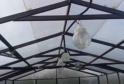 Как выбрать лампы для теплиц: 3 типа освещения (+50% к урожаю) и лайфхак — экономия 3 часа на уходе за растениями