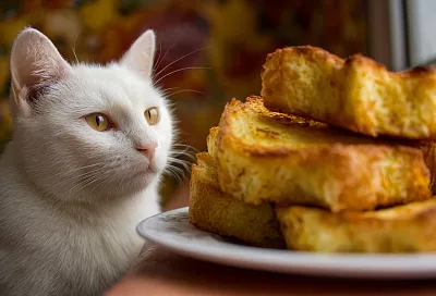 Идеальный французский тост: классический рецепт с секретами приготовления