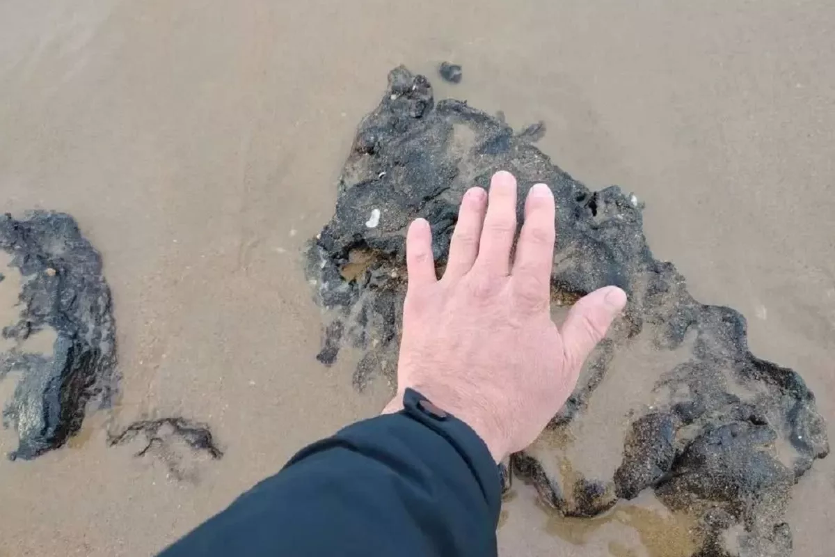 Море обнажило старые выбросы мазута на побережье Анапы 