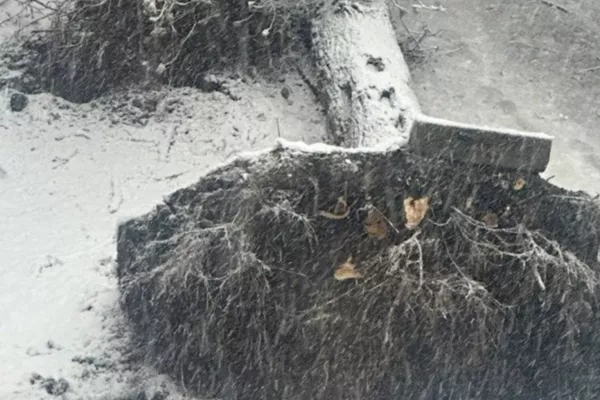 Ветер до 20 м/с и налипание снега: власти Москвы призвали жителей воздержаться от выхода на улицу 28 апреля