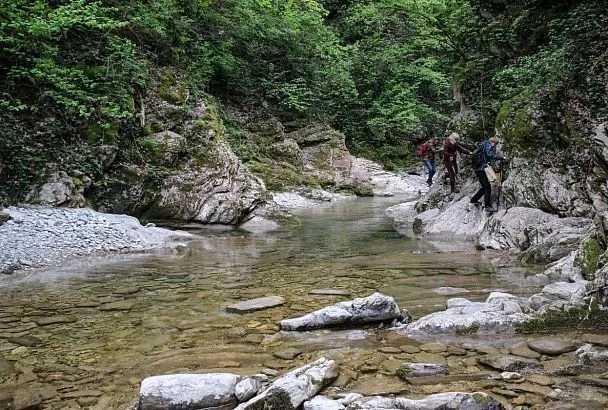 Аналитики рассказали, куда жители Краснодарского края чаще всего ездили этим летом