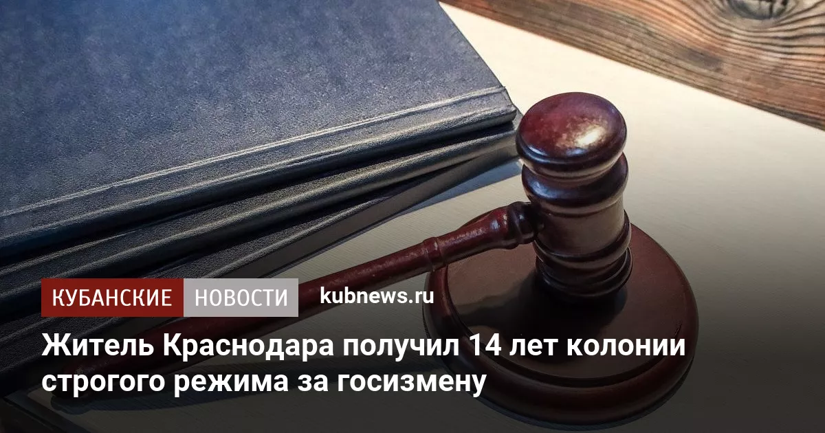 Житель Краснодара получил 14 лет колонии строгого режима за госизмену