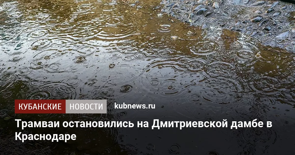 Трамваи остановились на Дмитриевской дамбе в Краснодаре