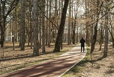 Было бы желание, а время найдется: как встроить занятия спортом в свой рабочий день