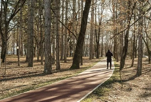 Было бы желание, а время найдется: как встроить занятия спортом в свой рабочий день