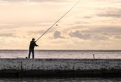 Жителям Новороссийска напомнили о запрете лова кефали в акваториях портов
