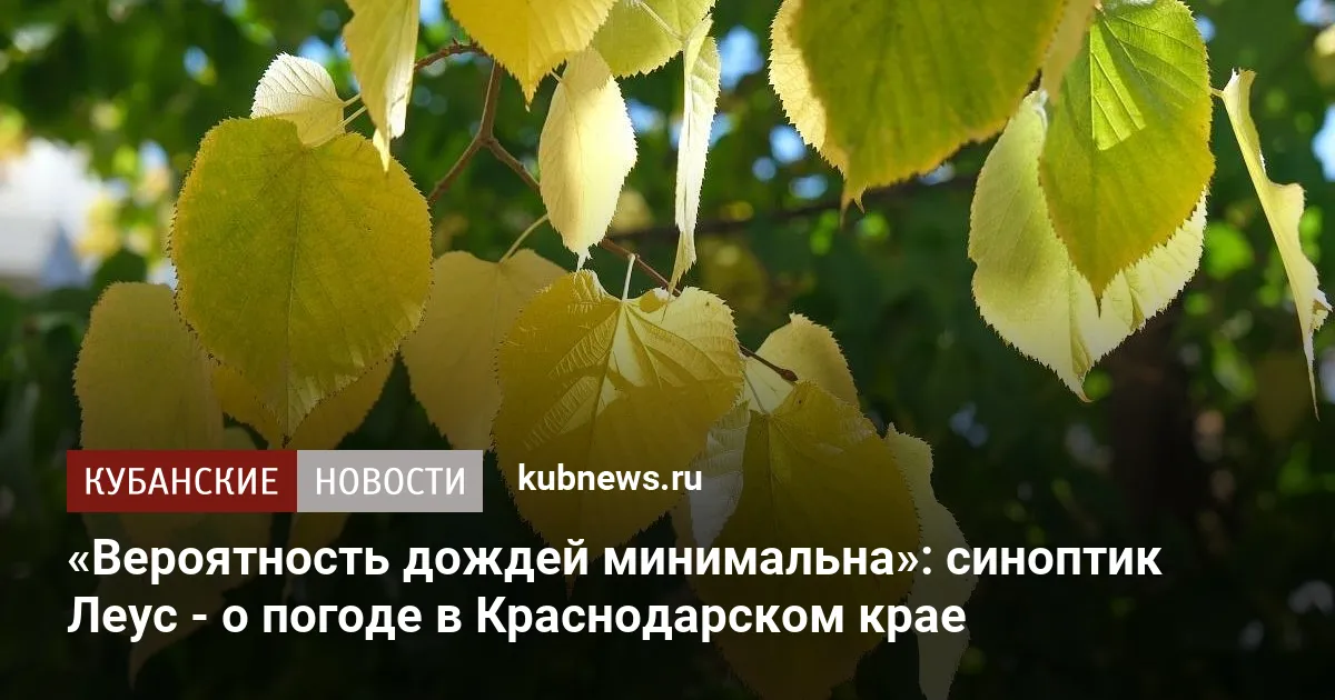 «Вероятность дождей минимальна»: синоптик Леус - о погоде в Краснодарском крае