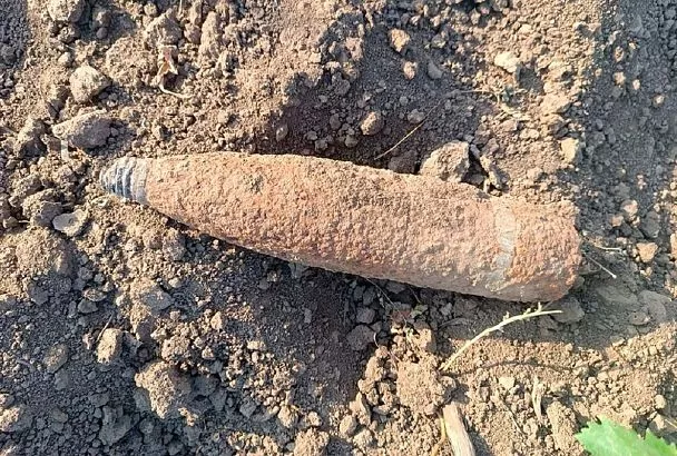 Рабочие нашли артиллерийский снаряд времен войны в виноградном поле на Кубани