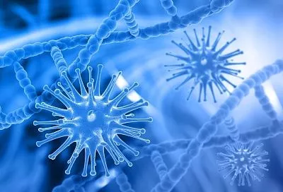 В России создали «умный» метод анализа бактериальных биоплёнок с помощью электронной микроскопии и нейросетей