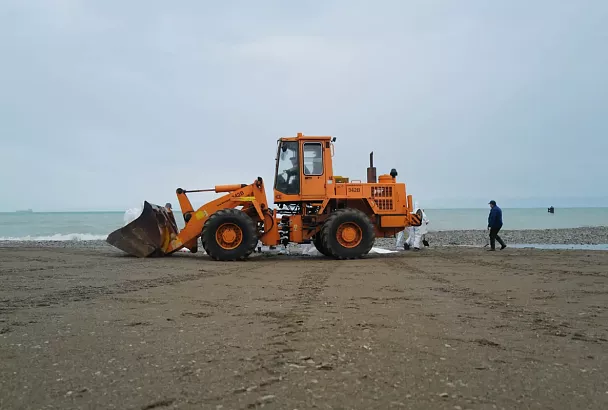 Более 32,2 тыс. кубометров загрязненного грунта и водомазутной смеси собрали в Туапсе 