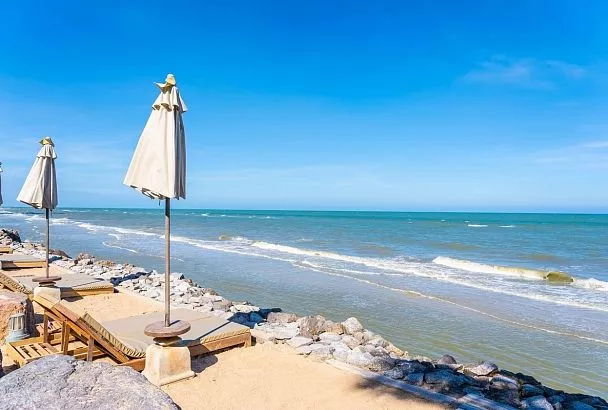 Геленджик перечислил в консолидированный бюджет Кубани 19,5 миллиарда рублей в 2025 году