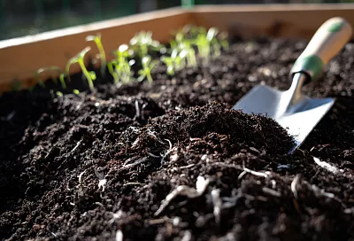 Почему грядки проседают и как это остановить навсегда