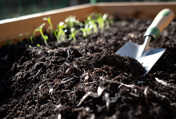Почему грядки проседают и как это остановить навсегда