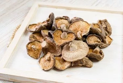 Сделайте «бусы»: как правильно сушить грибы, собранные в лесу