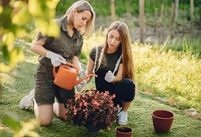 Лунный календарь садовода с 4 по 10 октября: даже не думайте выходить в огород в полнолуние