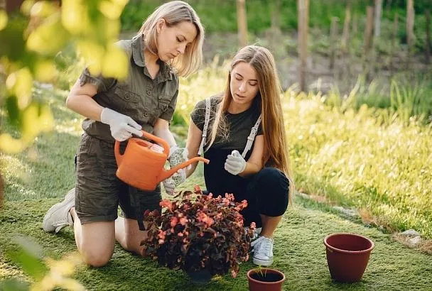 Лунный календарь садовода с 4 по 10 октября: даже не думайте выходить в огород в полнолуние